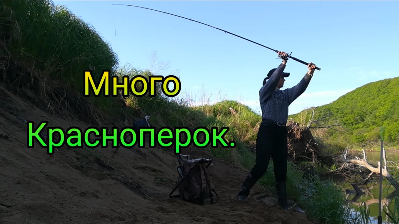 Три выезда в Тереховку. Ловля красноперки в Суйфуне.