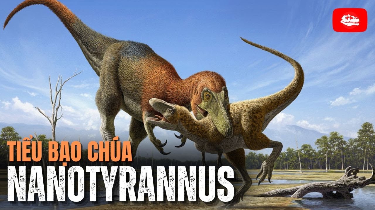 Nanotyrannus: Tiểu bạo chúa nay đã trỗi dậy | Hồ sơ khủng long