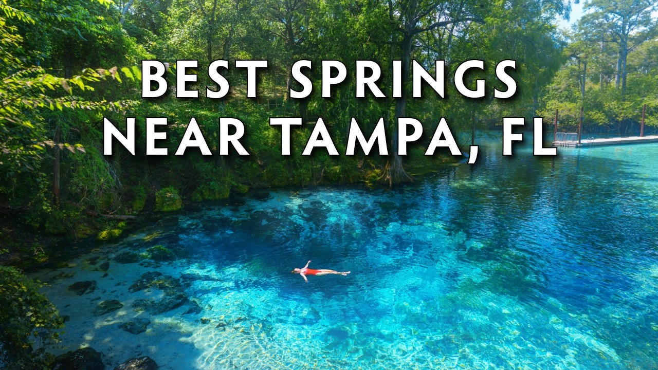 11 Springs Within Driving Distance Of Tampa, FL (Perfect Day Trips!)