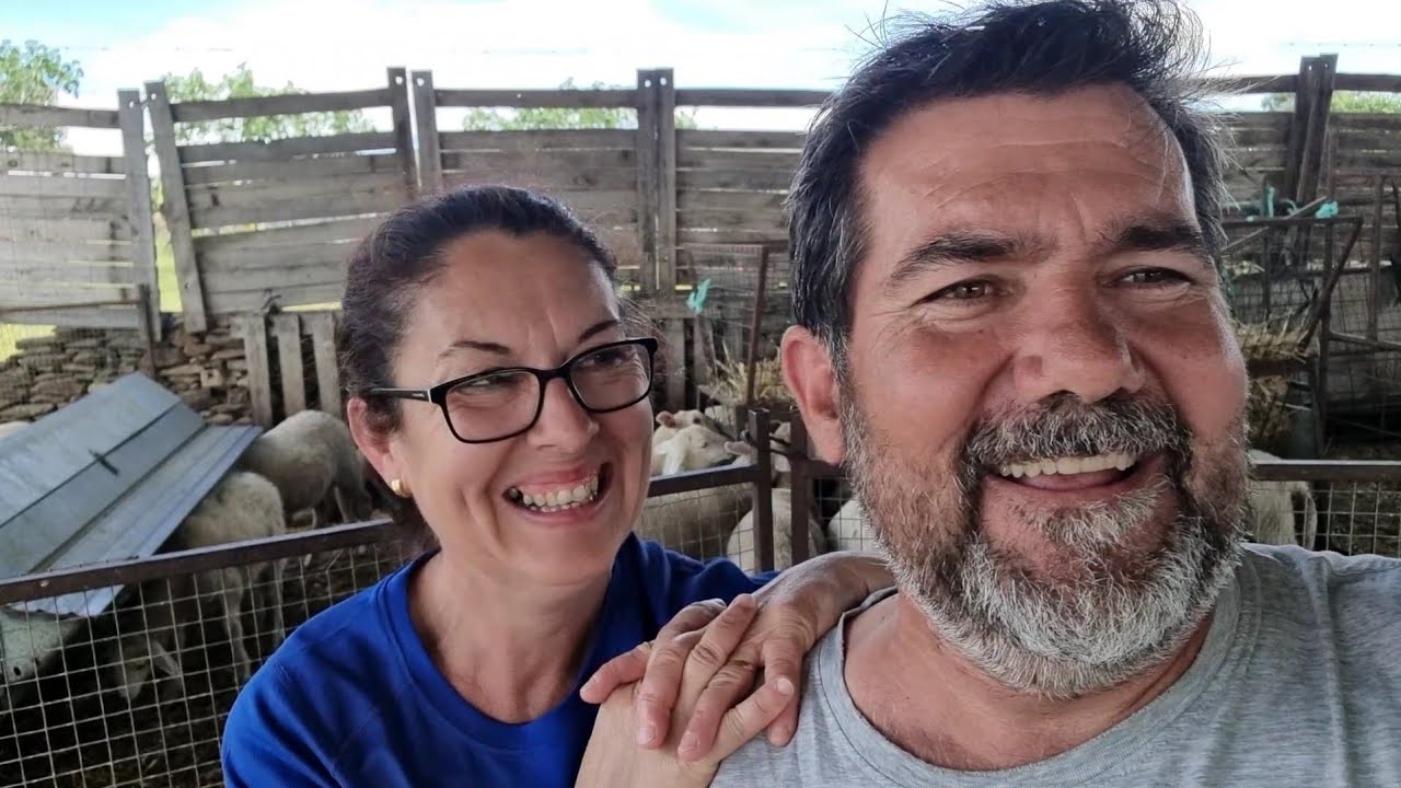 Tenemos que cambiar la manga de manejo de las ovejas👍
