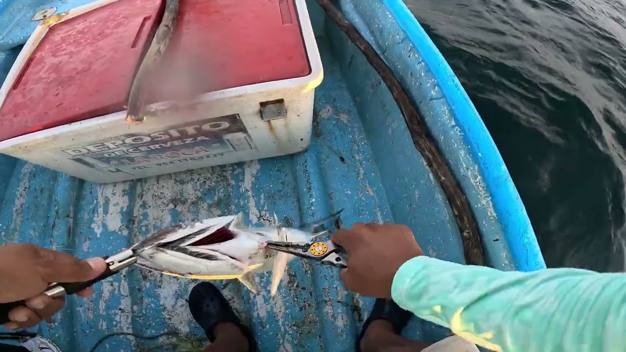 Pesca de Chulas en Pto Angel