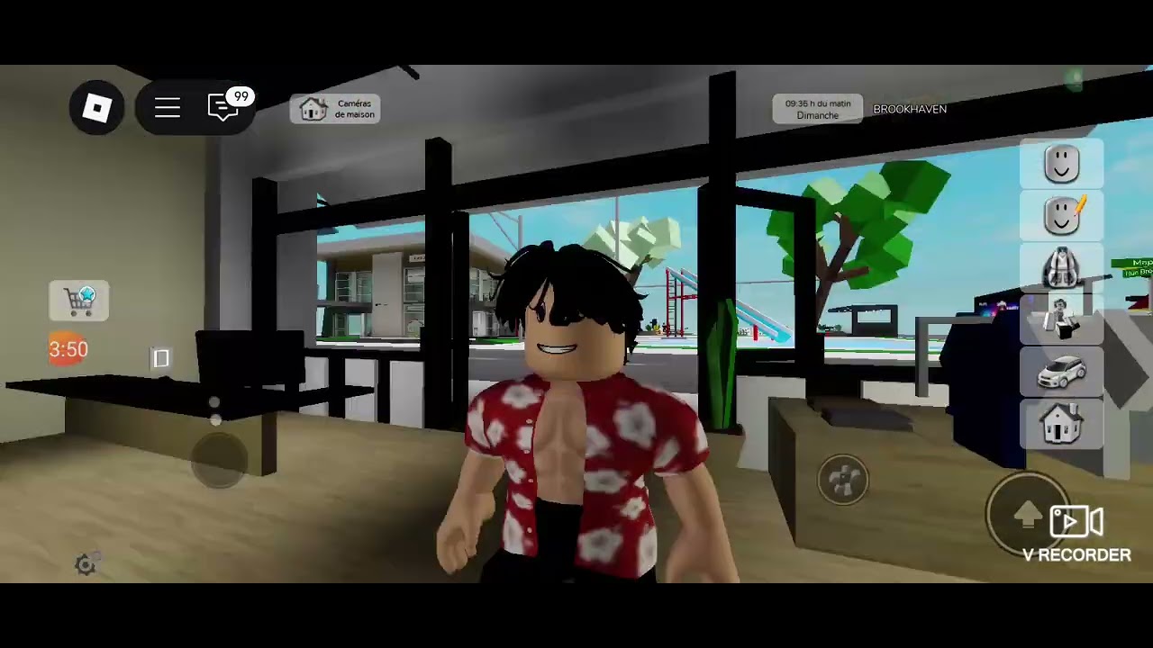 Comment se transformer en youtubeur sur brookhaven rp