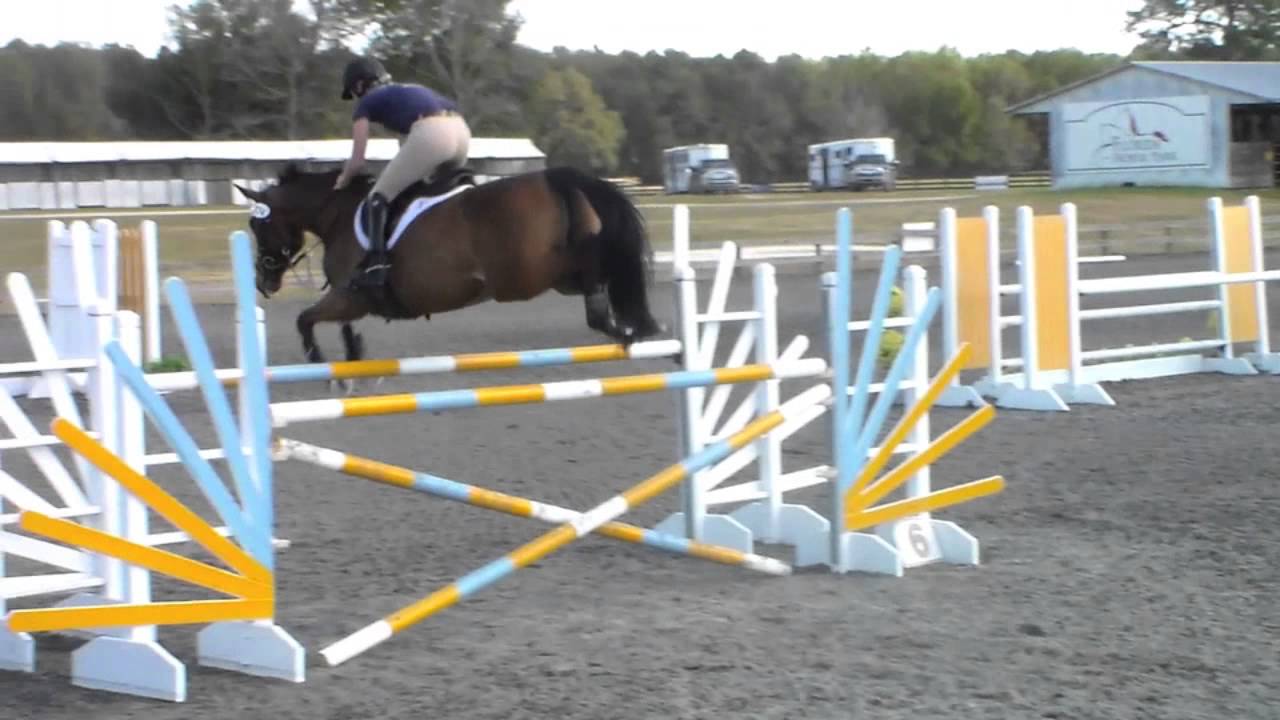Cilano 4ft jumpers