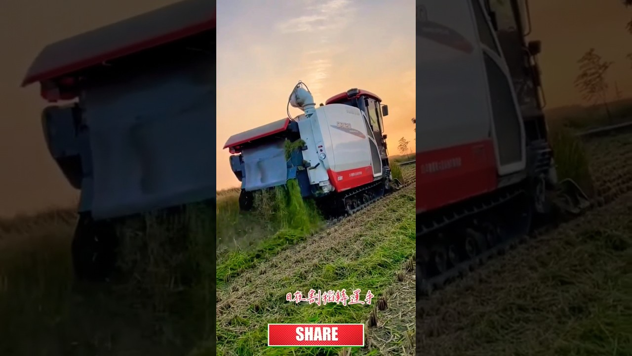 Kubota DR120 harvester #shorts #kubota #harvester #youtubeshorts