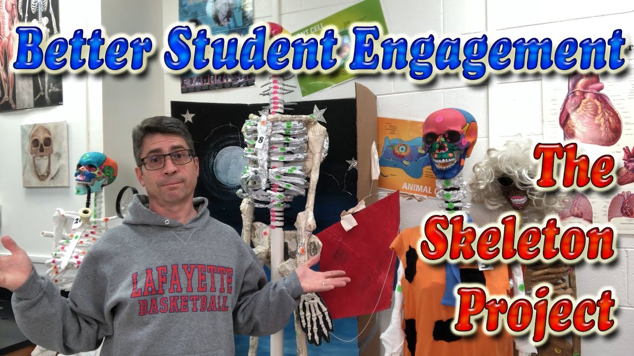 Enhancing Student Engagement | Building A Skeleton To Demonstrate Advanced Learning In Anatomy Class