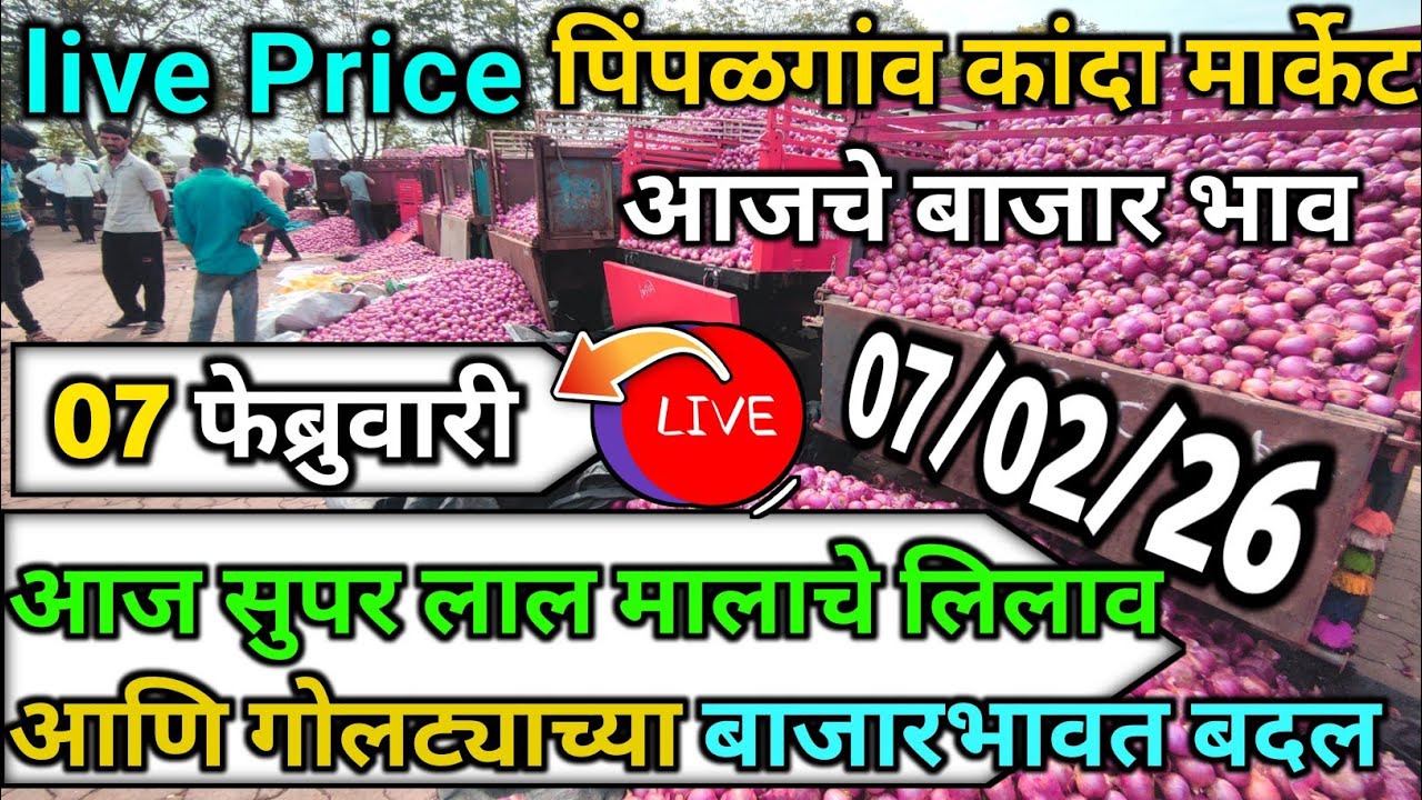 Pimpalgaon Onion Market Price Today:Latest Rates And Insights 07 February 2025