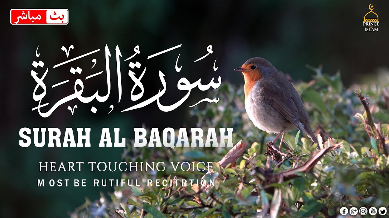 Surah Al Baqarah Full (سورة البقره) HEART TOUCHING RECITATION | Husam Al-Masabi