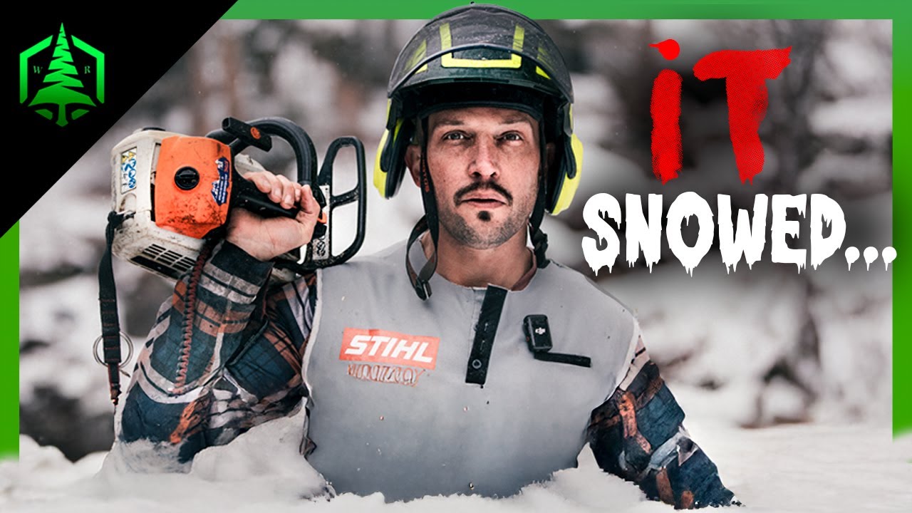Precision Tree Removal - Tight Conditions