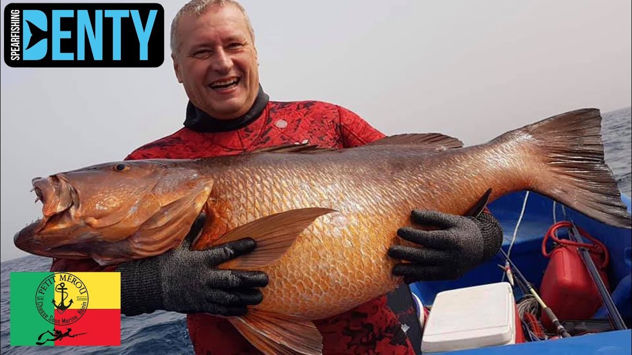 Chasse sous-marine aux énormes Djabar du Bénin