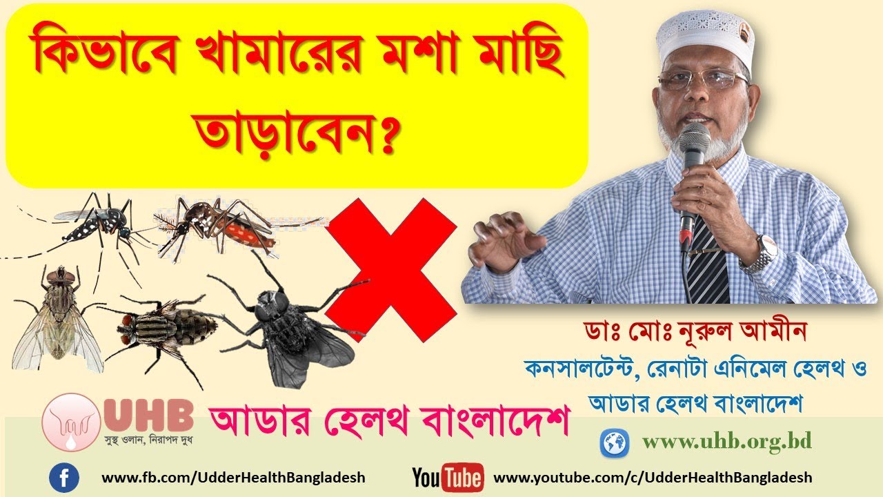কিভাবে খামারের মশা-মাছি তাড়াবেন? (How to control mosquito and fly in farm)