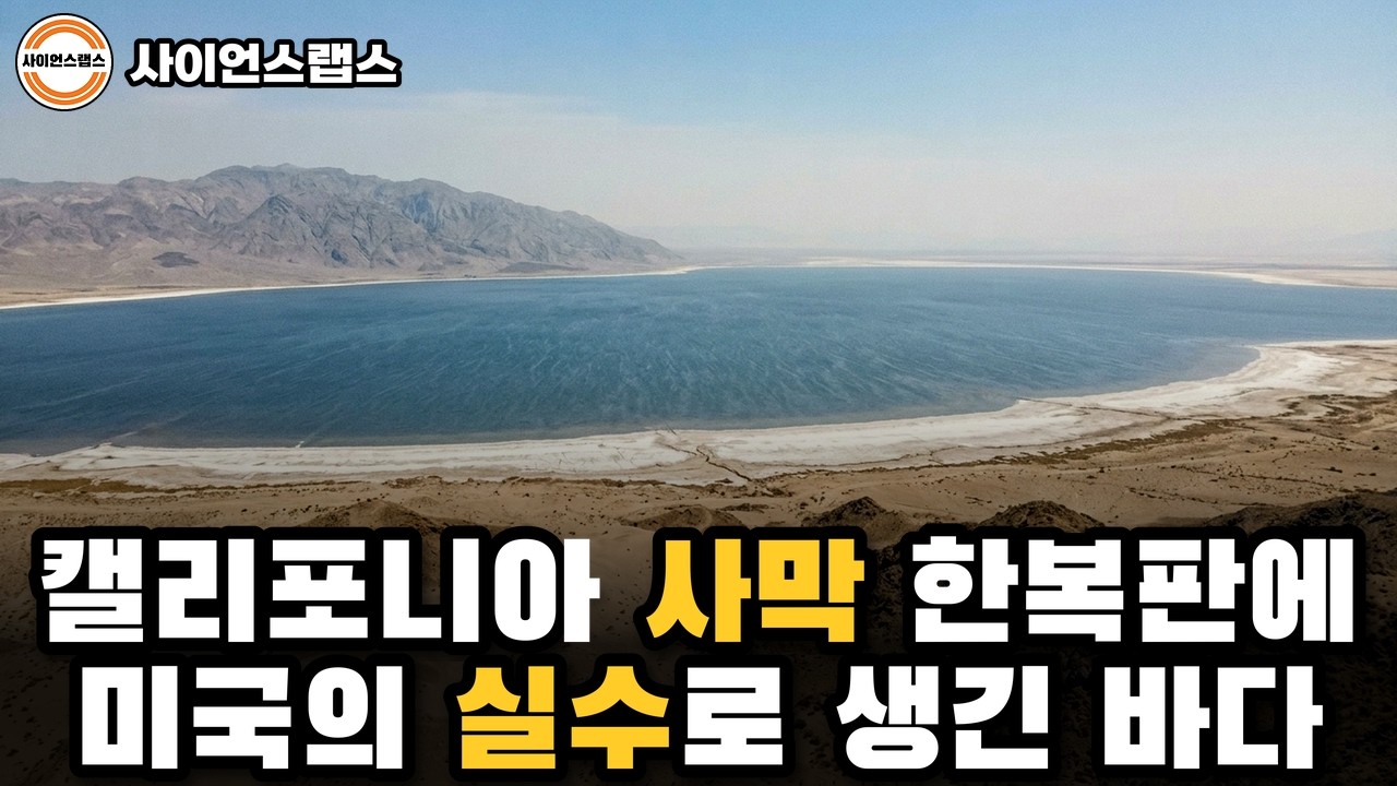 캘리포니아 휴양지 솔턴호는 왜 죽음의 바다가 되었는가?