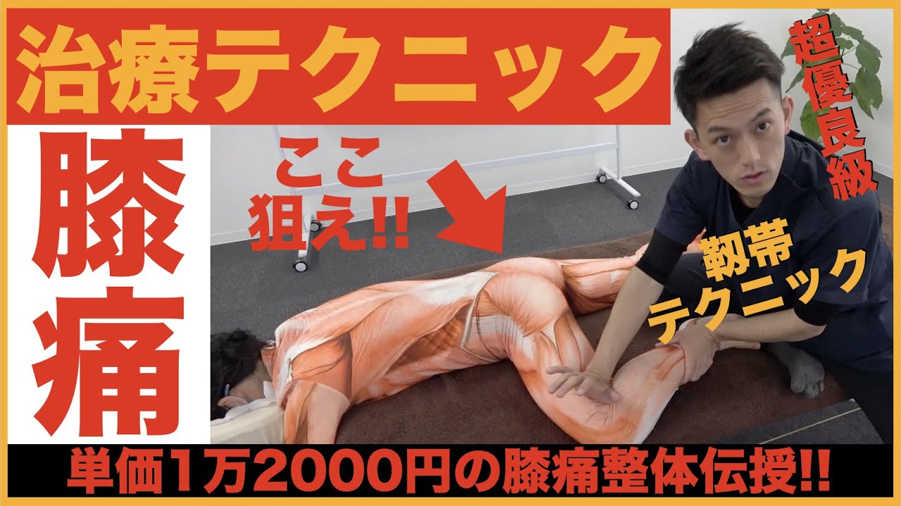 【膝内側痛の治療法】30秒で膝痛を根本改善する靱帯テクニック…