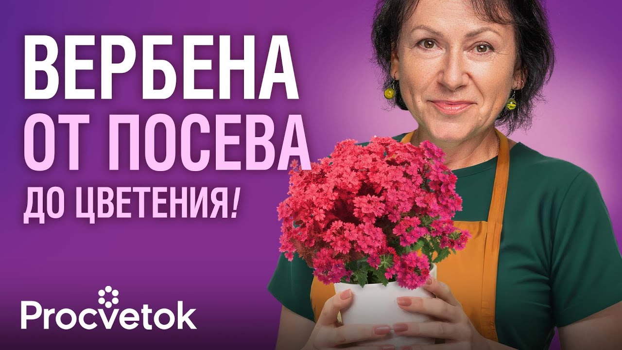 НЕ ЦВЕТОК, А ВОСТОРГ! Обязательно посейте его в марте – и наслаждайтесь пышным цветением до морозов