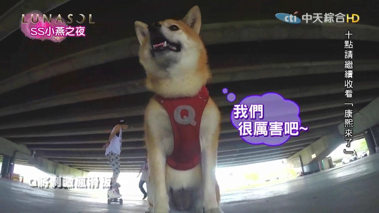 2015.09.04SS小燕之夜完整版　我家寵物超有才！