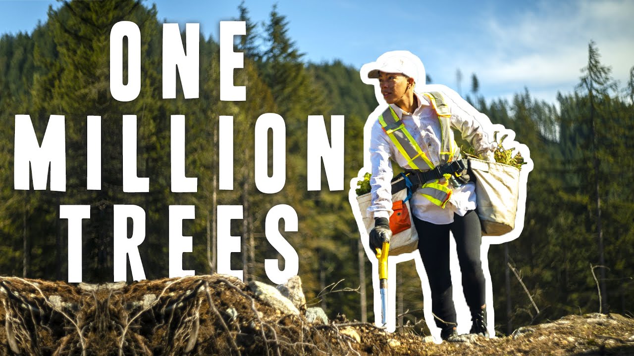 One Million Trees (2020) | The Tree Planter's Odyssey - Full Documentary | CBC, Self Hired