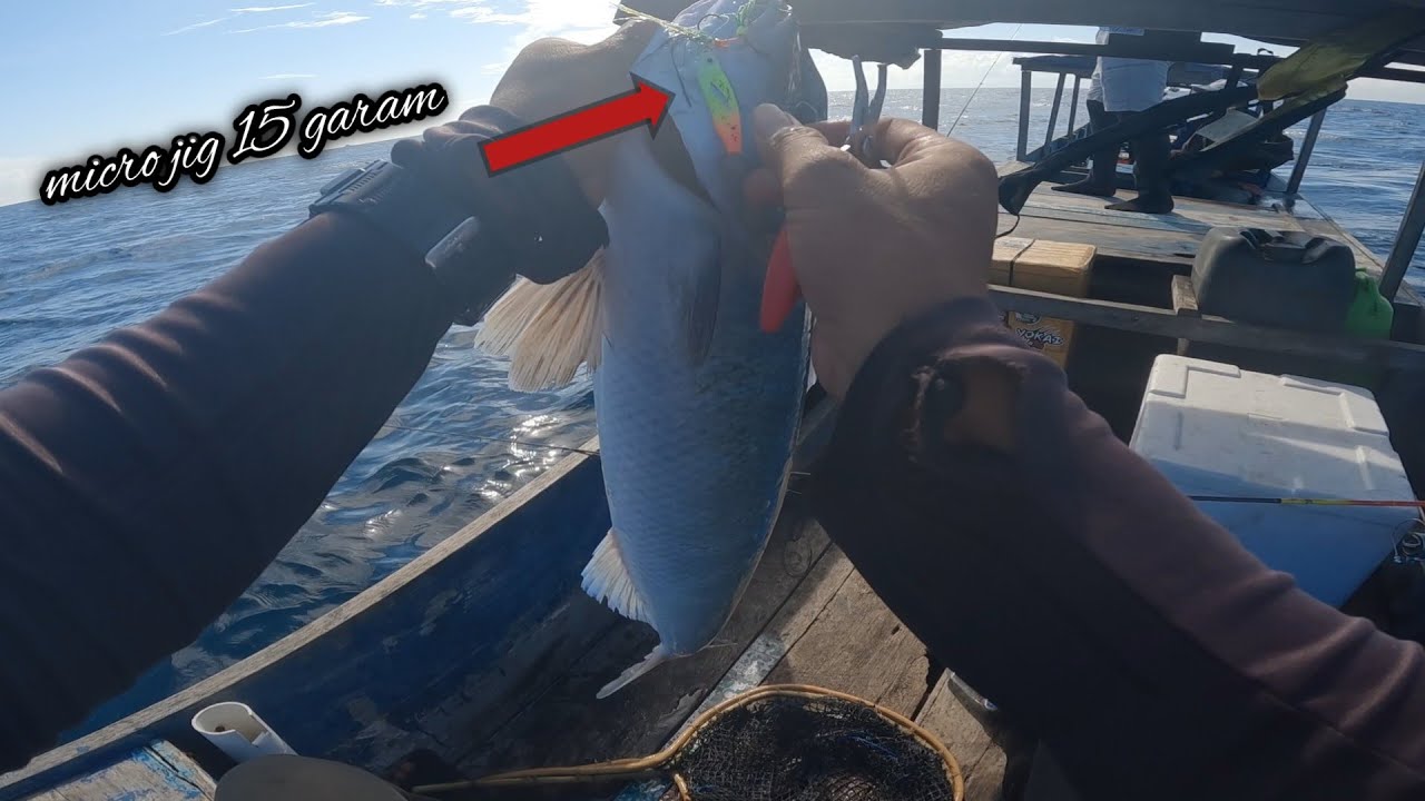 IKAN LAGI RAME!! CASTING UL 15 GRAM AUTO PANEN