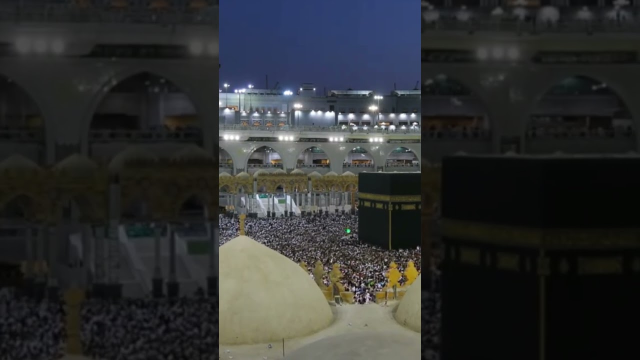 Surah Al Masadd, #quran #quranrecitation #qurantilawat #islam #youtubeshorts #youtube #quranmazid