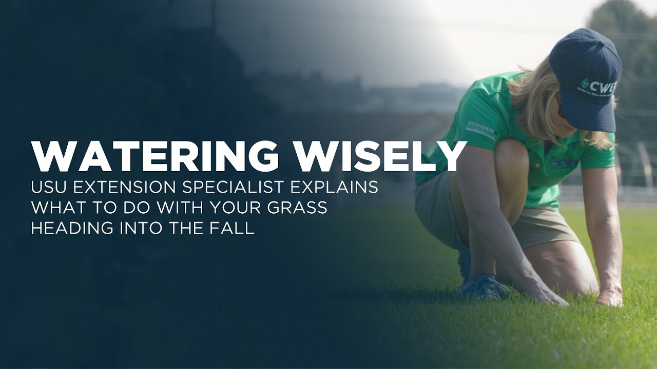 USU Extension Specialist Explains What to Do With Your Grass Heading into the Fall