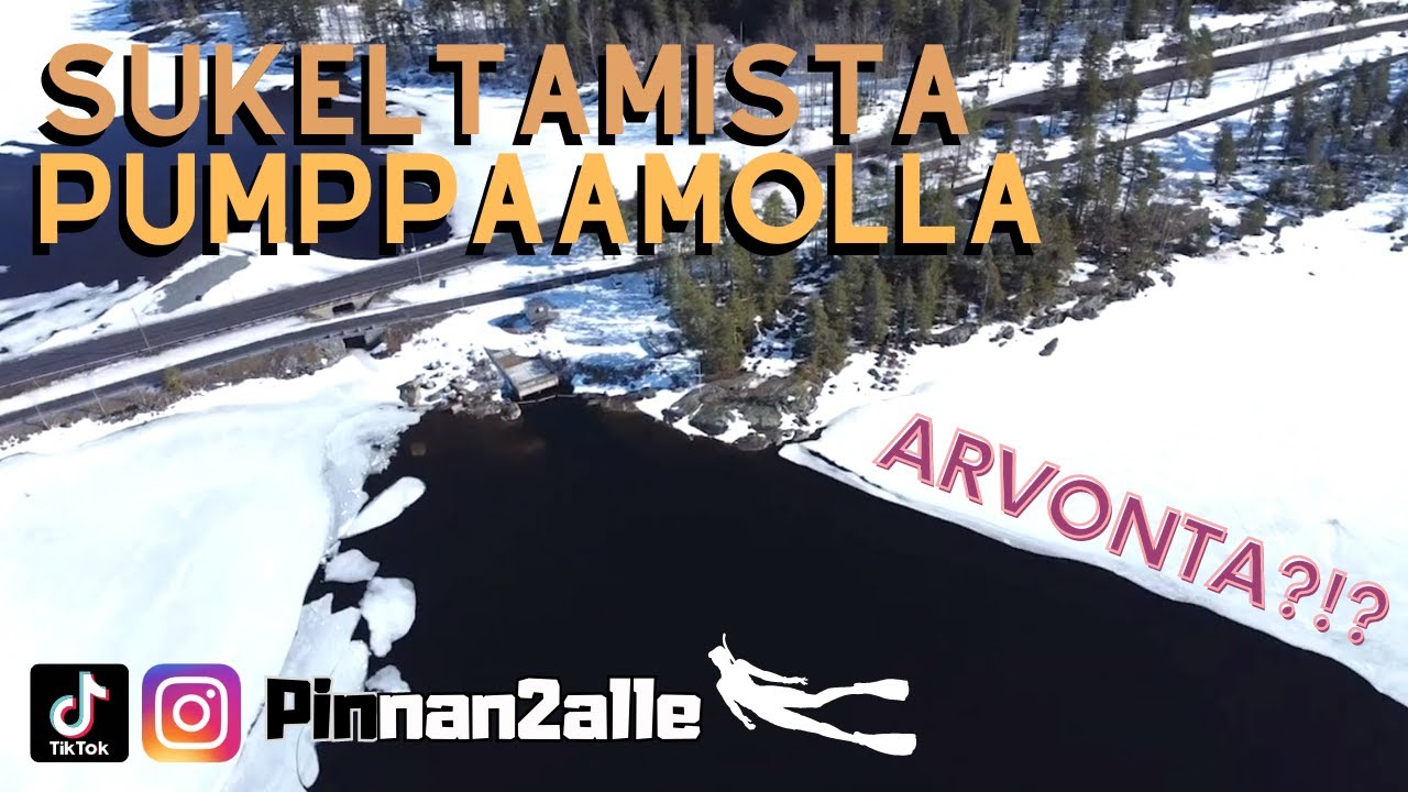 ANIMAL RESCUE, UISTIMIA JA VUODEN EKA ARVONTA! [Pinnan2alle #36]