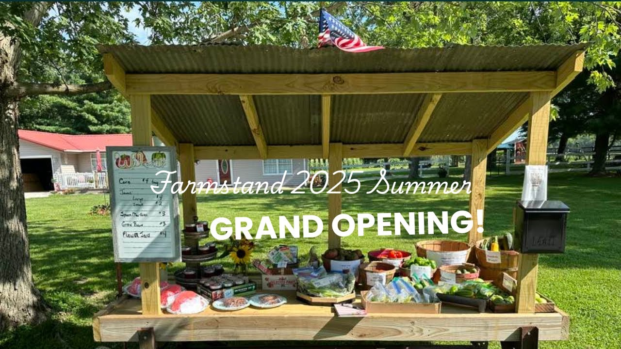 Grand Opening of Farmstand Summer 2025! #homesteading #farmlife #farmstand