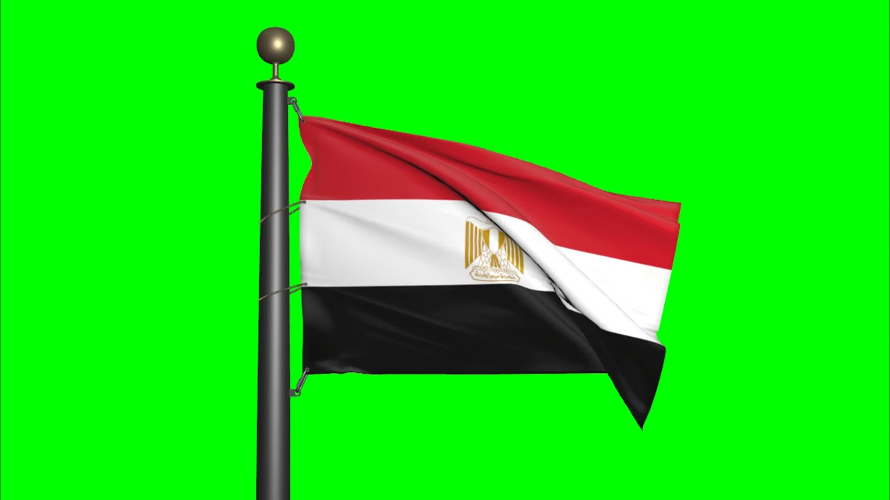 Egypt flag   Green Screen   Motion background   4K UHD 60fps   Royalty Free   Flag footage