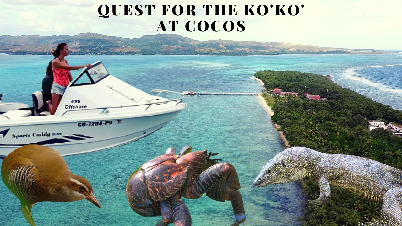 Living in Guam - Cocos Island Adventure | Monitors, Rails, and Star Sand