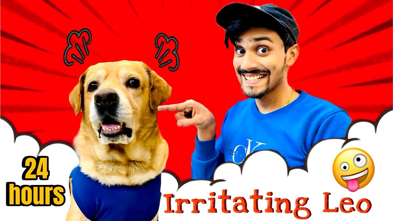 Irritating My Dog For 24 Hours | Leo gussa ho gya | Anant Rastogi