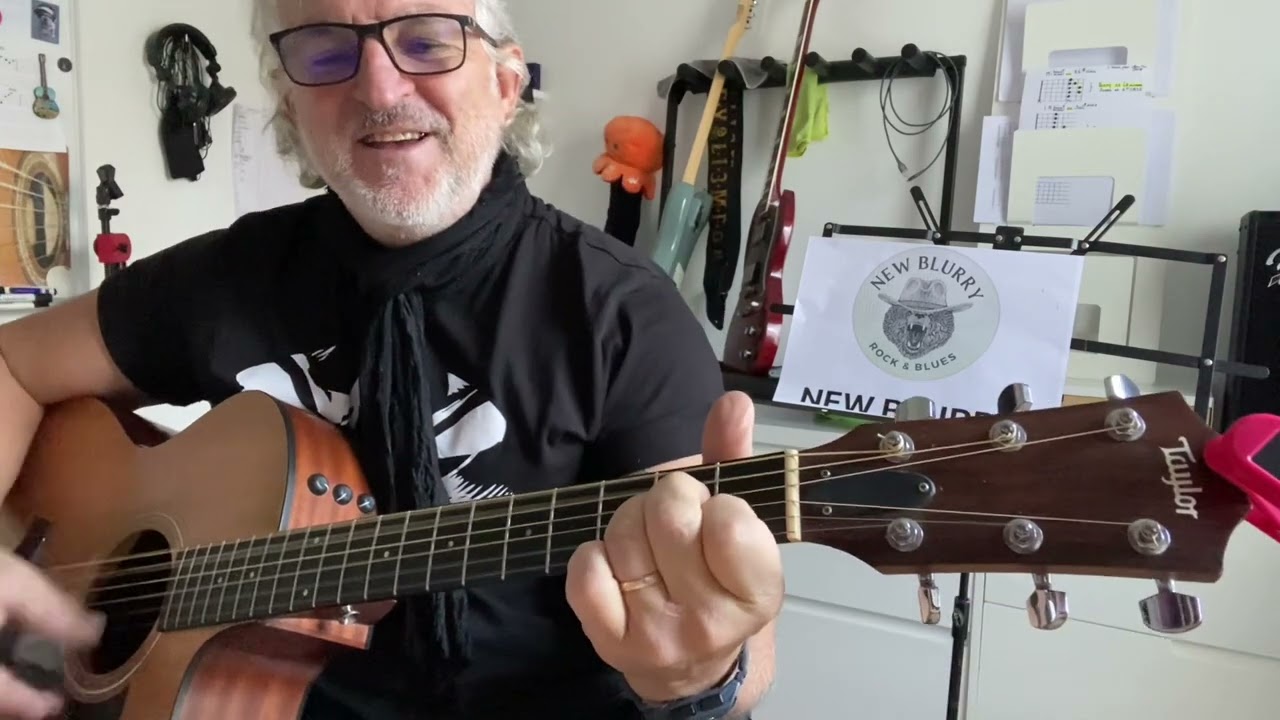 TUTO «  STEWBALL » Hugues AUFRAY   ( accords très facile 😁👍) 👋