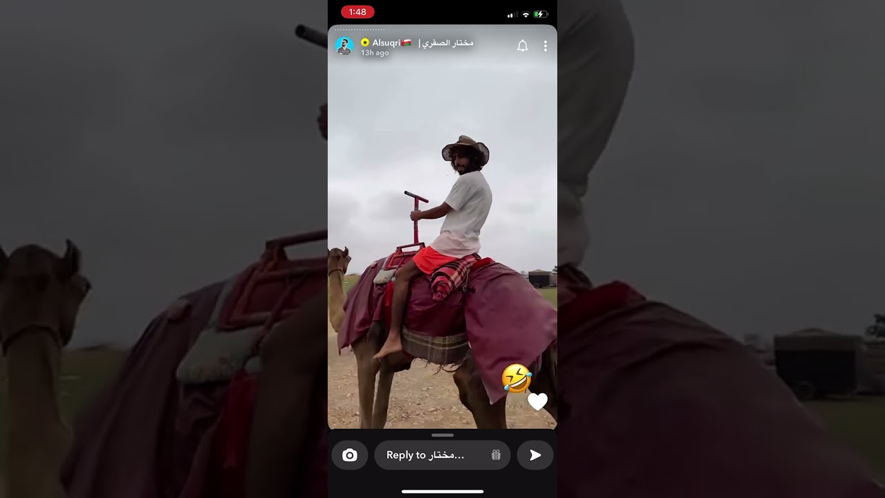 مختار الصقري 😂 منال العالم مع بو هباش راعي الناموس