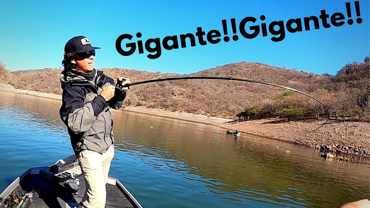 Encontramos Lobinas Gigantes Por Todos Lados | Tierra De Gigantes Parte 1