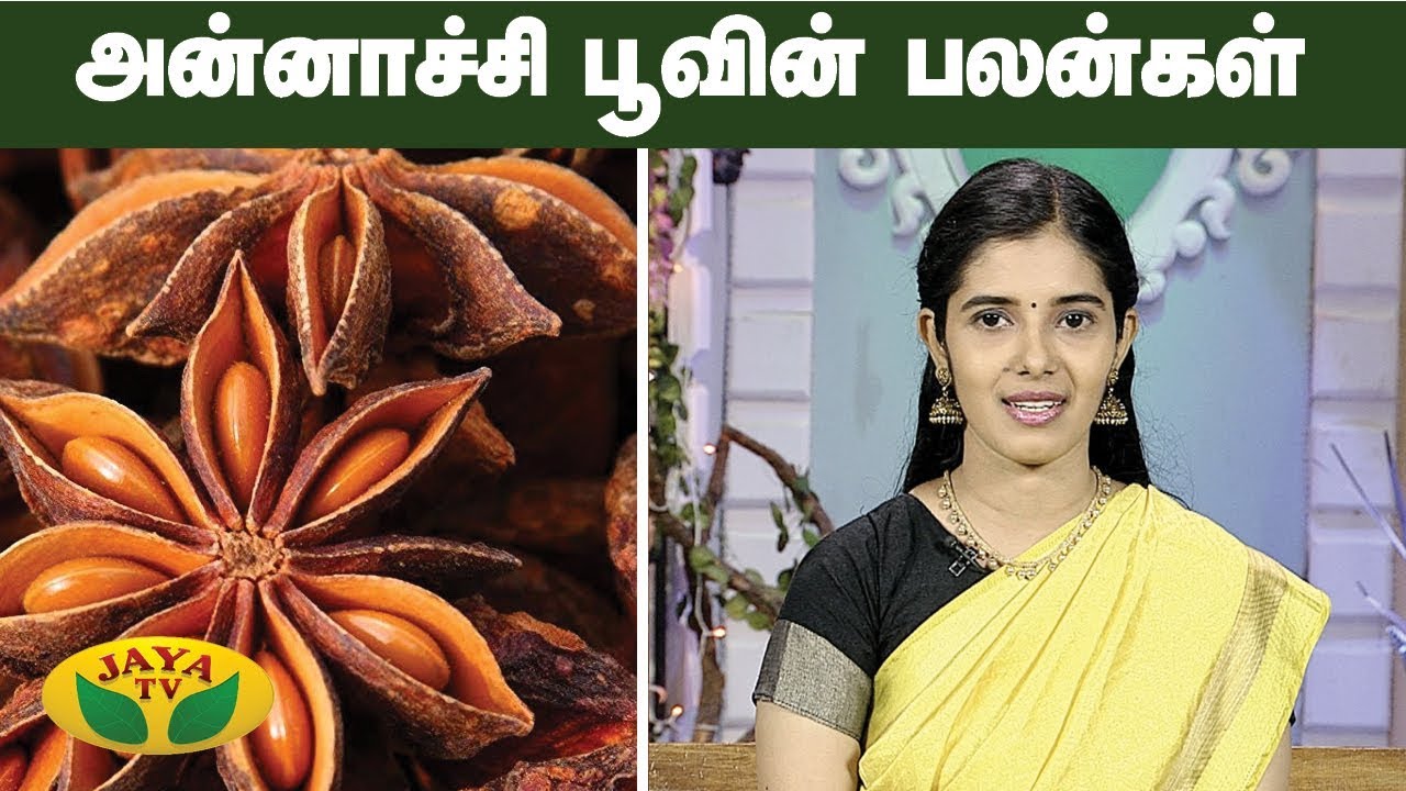 மருத்துவ குணம் நிறைந்த அண்ணாச்சி பூ | Star Anise | Adupangarai | Jaya TV