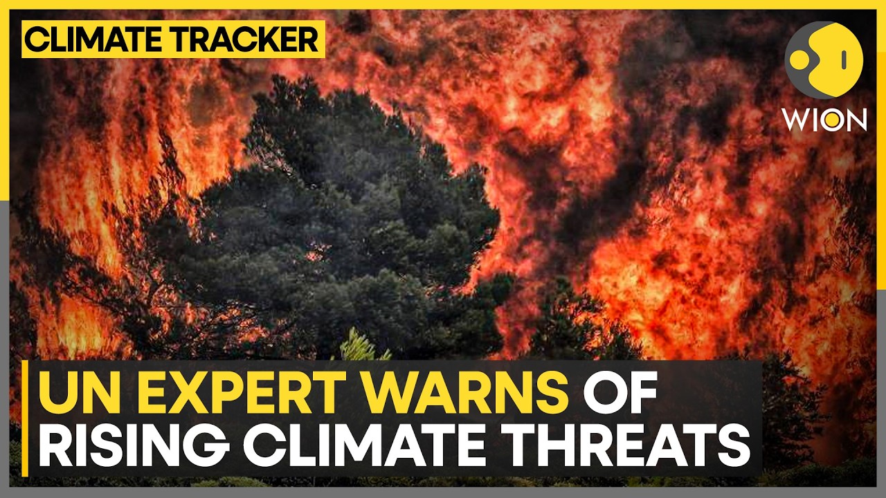Extreme Weather Becoming The New Normal | WION Climate Tracker