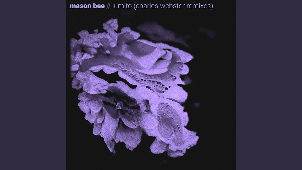 Lumito (Charles Webster Deep Dub)