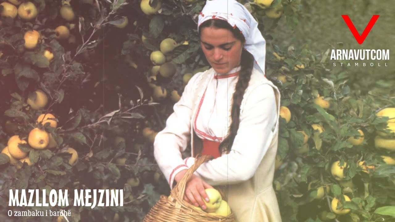 Mazllom Mejzini - O zambaku i bardh&euml;