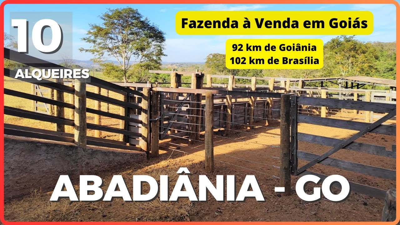 10 ALQ EM ABADIÂNIA - FAZENDA À VENDA EM GOIÁS [🌱DUPLA APTIDÃO🐄] #agro #fazenda #tec2agro
