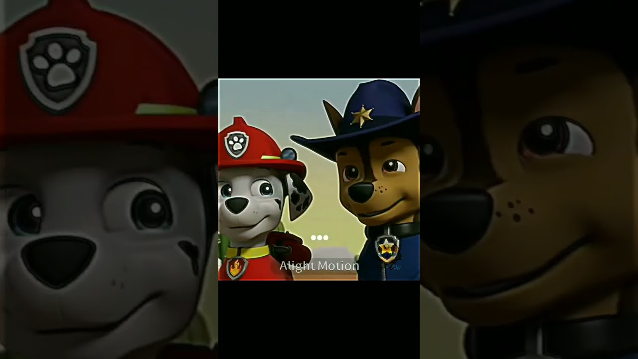 &bull;&iquest;Mejor d&uacute;o?&bull; | Chase Paw #chase #marshall #bestduo #pawpatrol #edit #apoyo