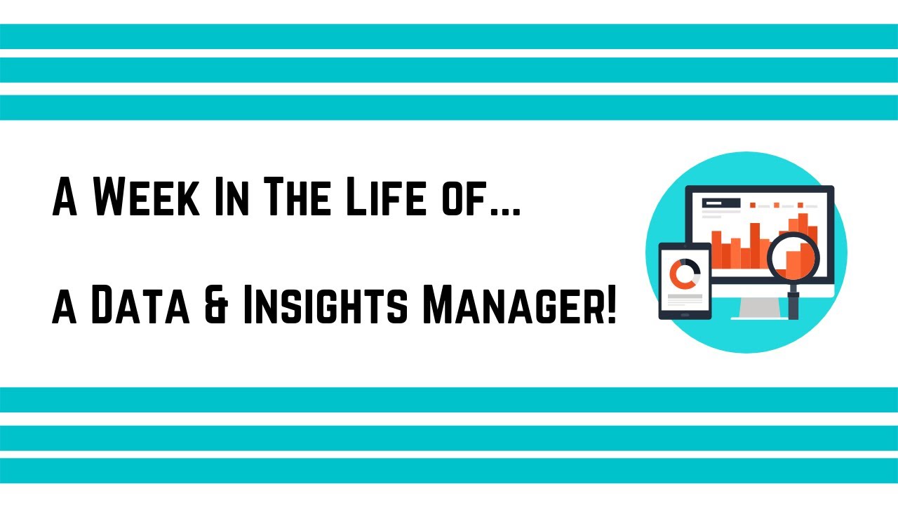 A Day In The Life Of... a Data & Insights Manager!