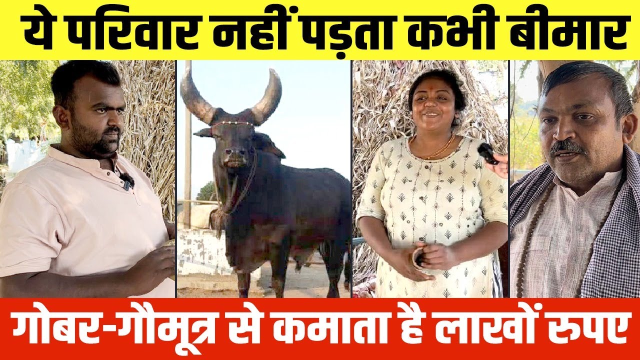 👍 गोबर के दीयों से कमाए 10 लाख, गोबर-गौमूत्र के प्रोडक्ट को बनाएं ब्रांड। यहां से लो फ्री Training