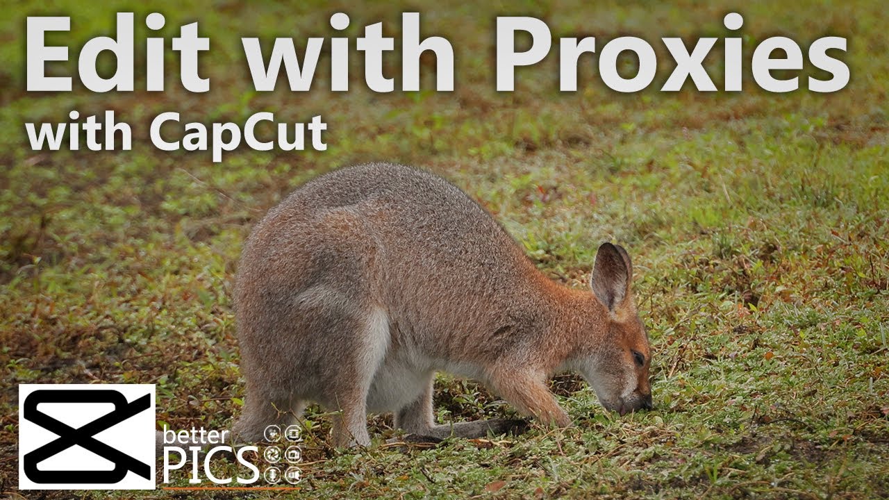 Editing with Proxies in CapCut | #VideoEditing #CapCut