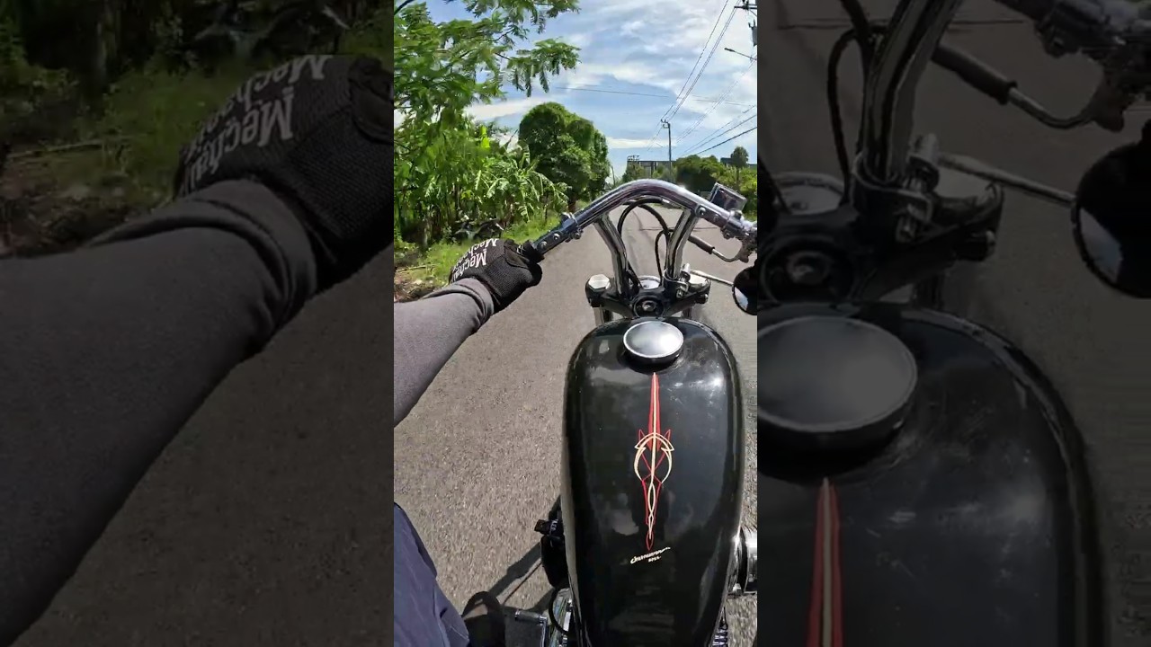 my favorite Thai street to ride the Harley 🤙⛓️#IronSois #harleydavidson