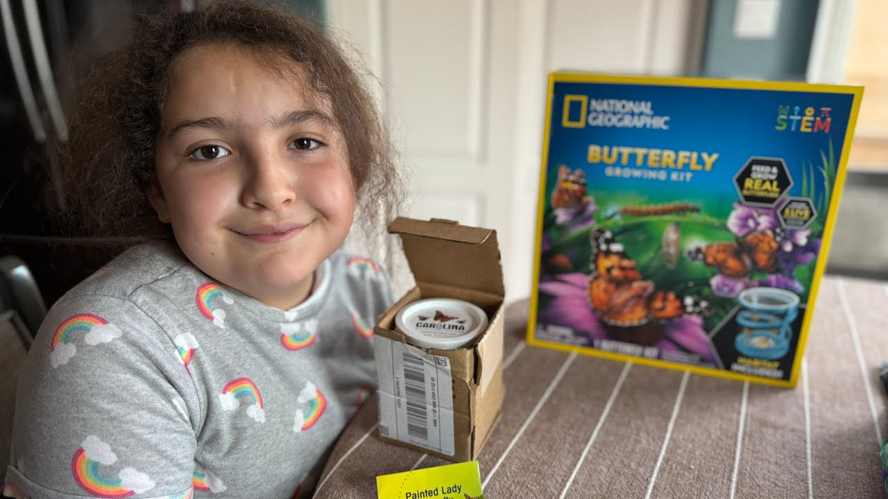Testing Butterfly Growing Kit!