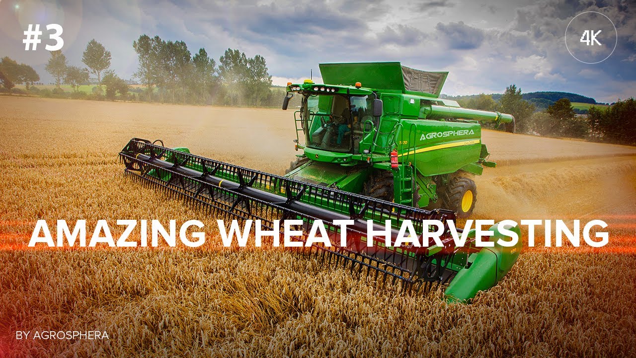 Powerful Wheat Harvesting in Ukraine | John Deere, Case, New Holland