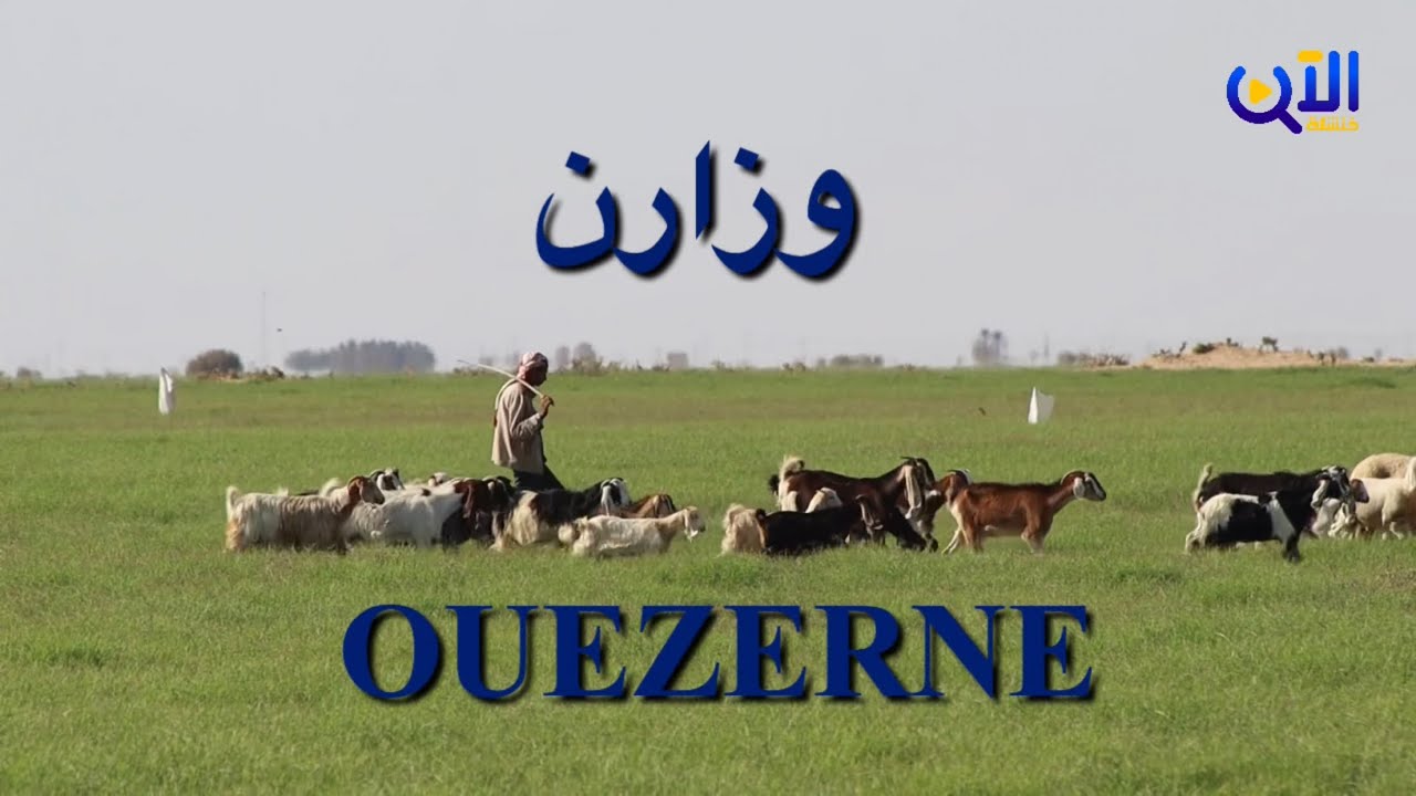نفيظـة وزارن رئـة خضـراء تنبض بالحياة وتحافظ على الثروة الحيوانية في قلب صحراء النمامشة.