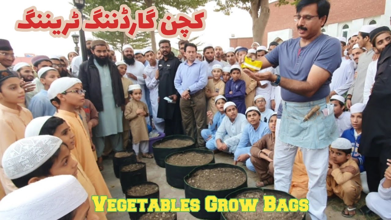 Kitchen Vegetables Gardening in Grow Bags | Winter | AAS Academy | RoofTop Gardening