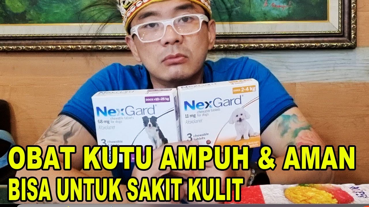 OBAT KUTU NEXGARD AMPUH BANGET - BISA UNTUK SAKIT KULIT JUGA