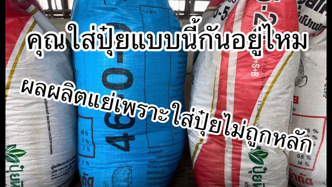 เรียนรู้ปุ๋ยให้เข้าใจก่อนใส่