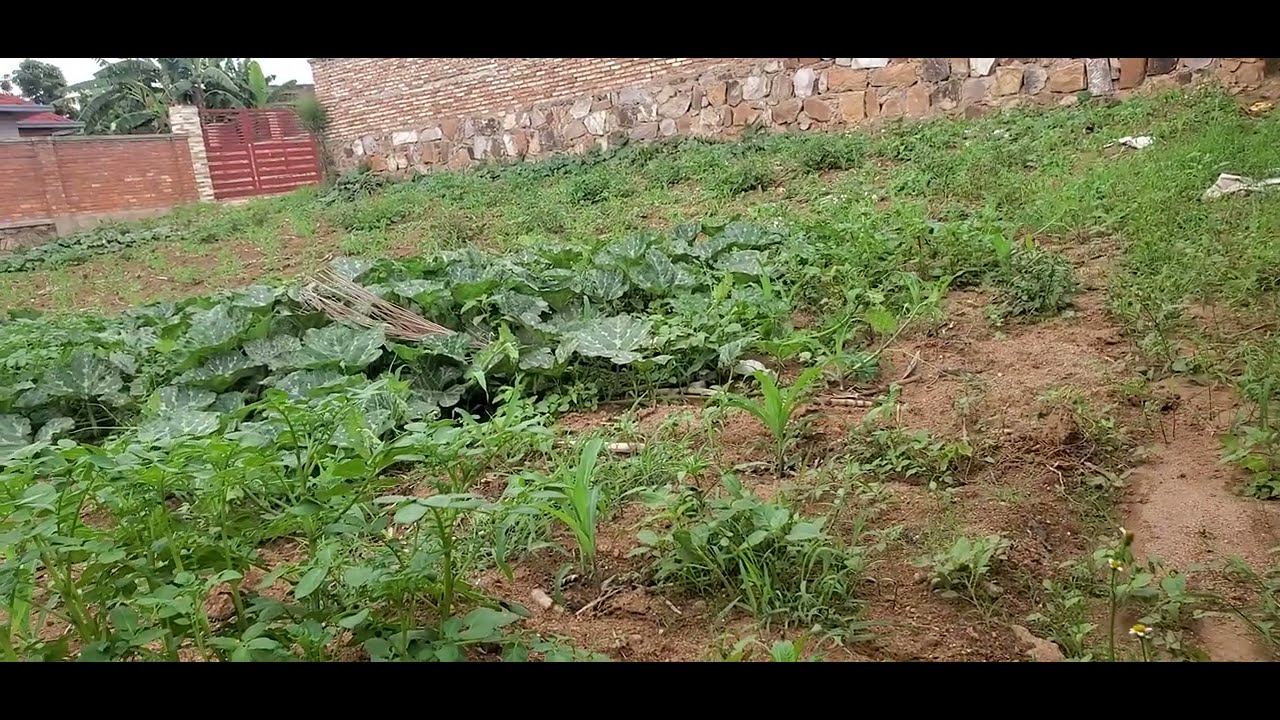 Ikibanza cyiza cyane tel:+250788694365