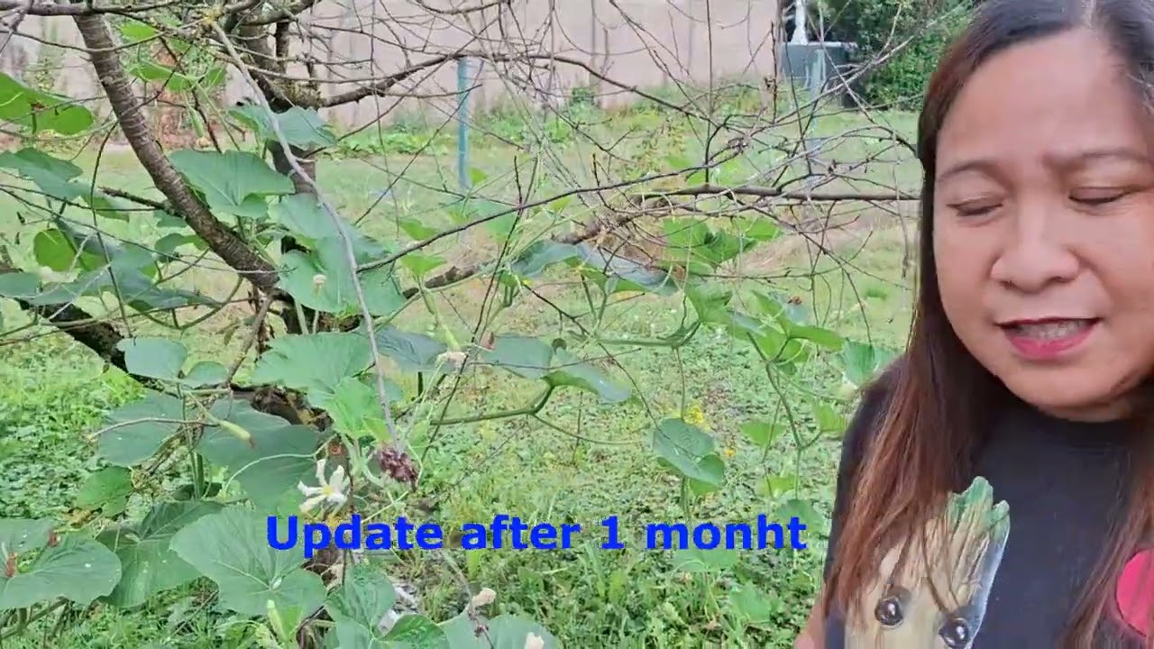 Update sa aking Garden // Summer 2024