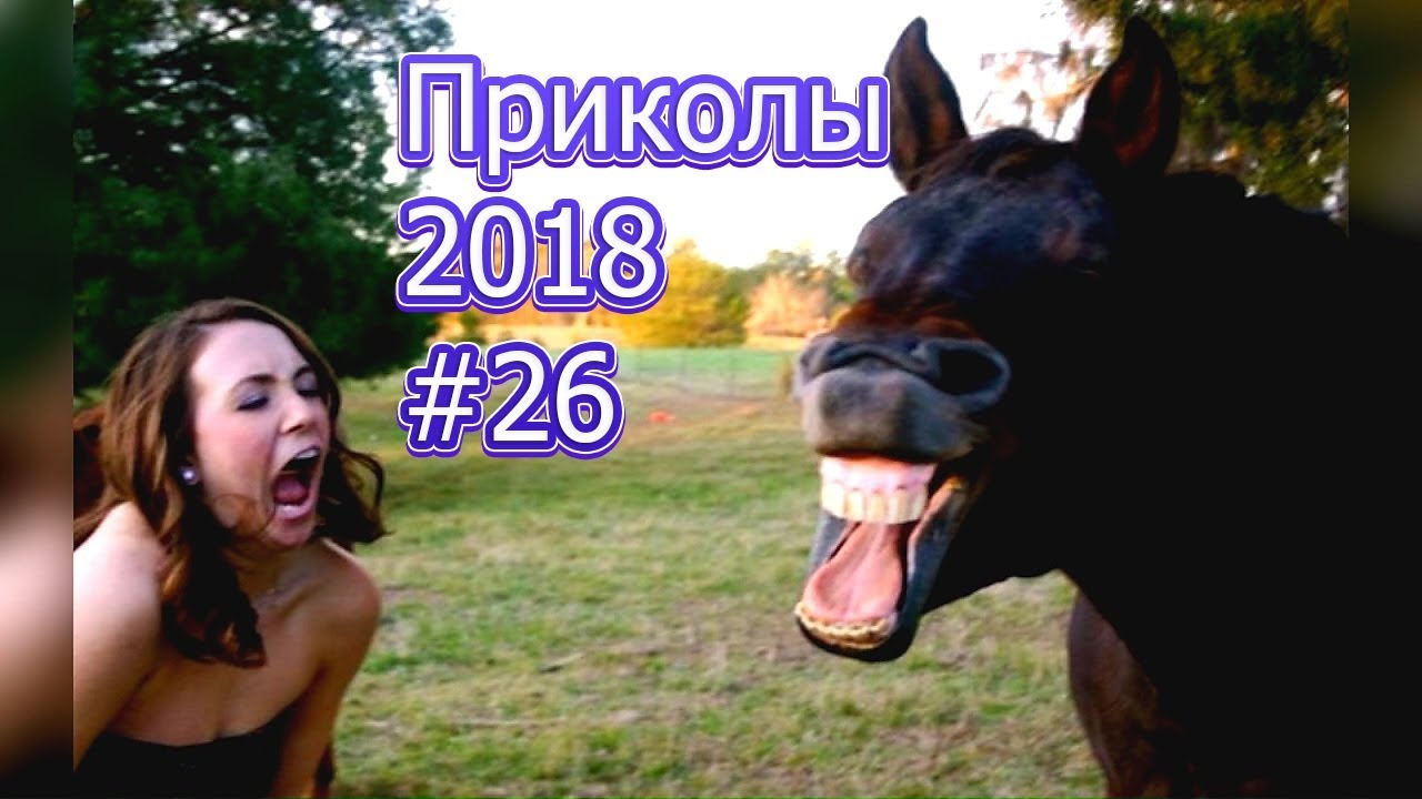 Приколы 2018 Апрель #26
