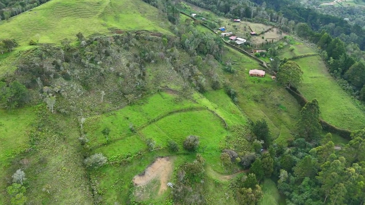 Lote de 20.000 m2 Vereda la Honda.